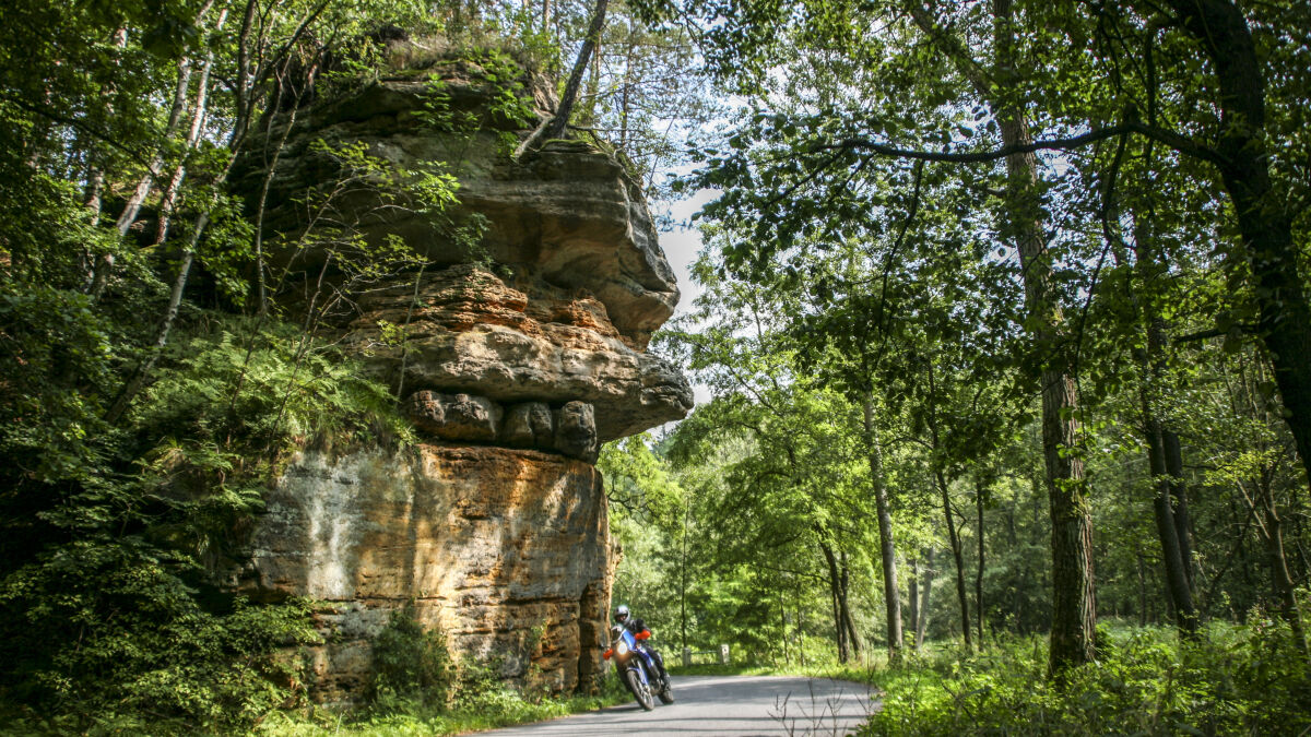 Sandsteinfelsen überragt eine Waldstraße, darunter ein Motorrad in der Kurve